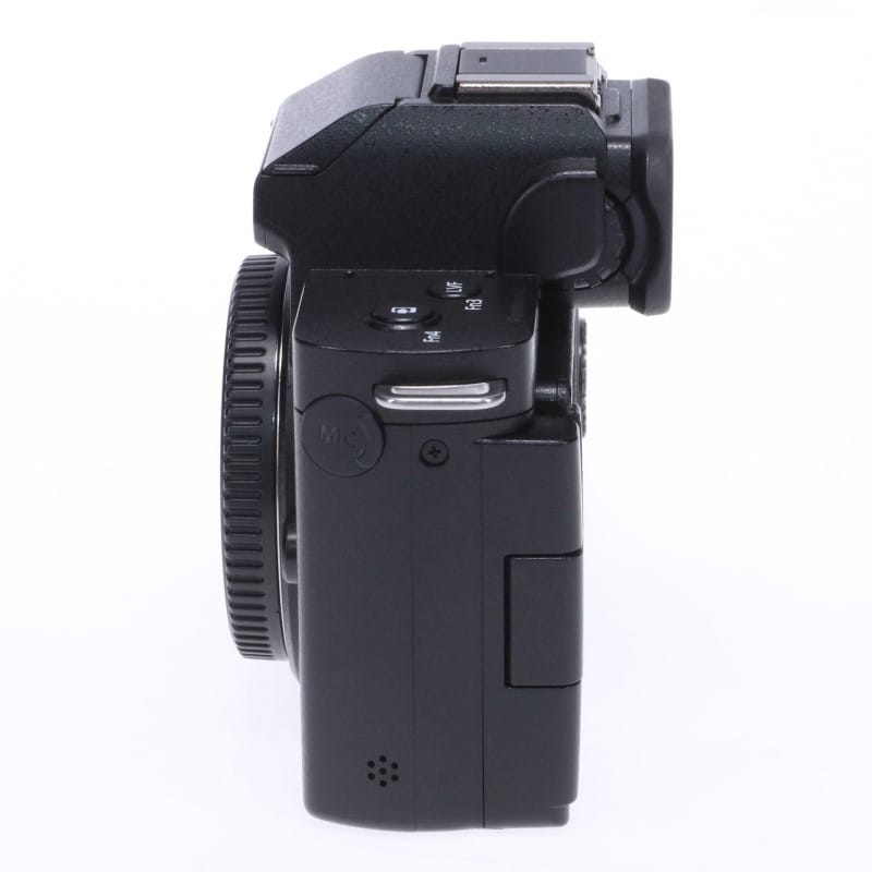 LUMIX G100 ボディ DC-G100