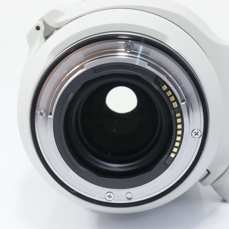 RF100-500mm F4.5-7.1 L IS USM