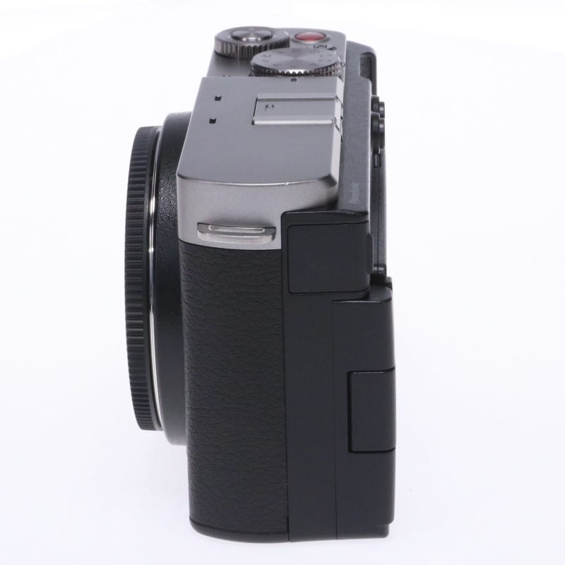 LUMIX S9 ボディ シルバー DC-S9-S