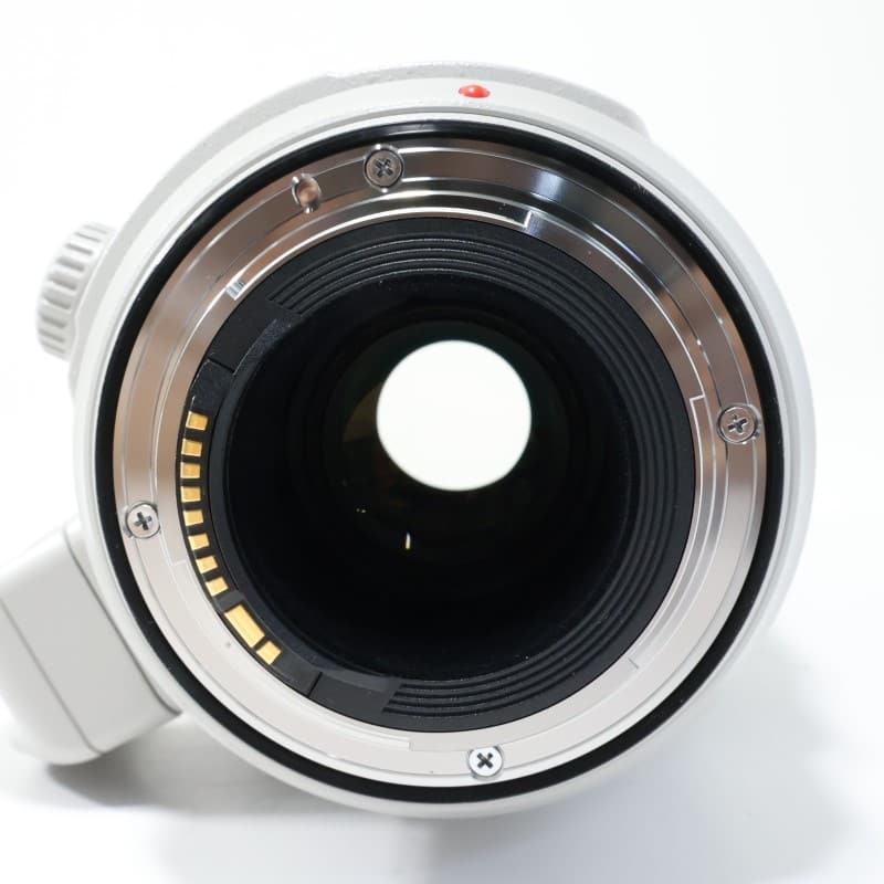EF100-400mm F4.5-5.6L IS II USM