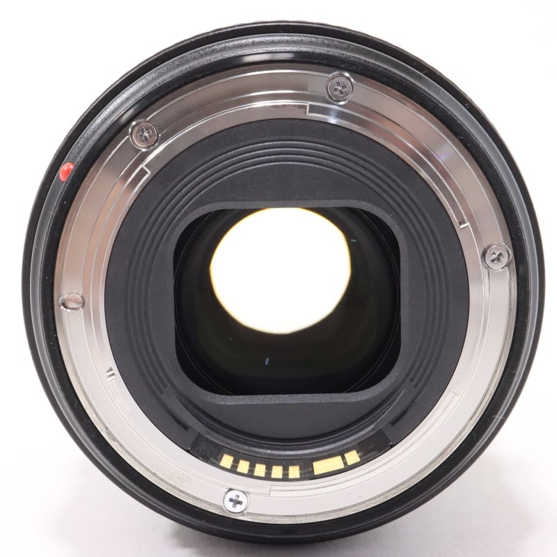 EF24-105mm F4L IS II USM