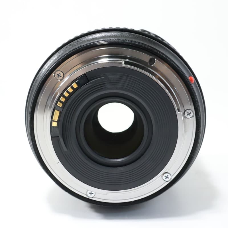 EF 24-70mm F4 L IS USM