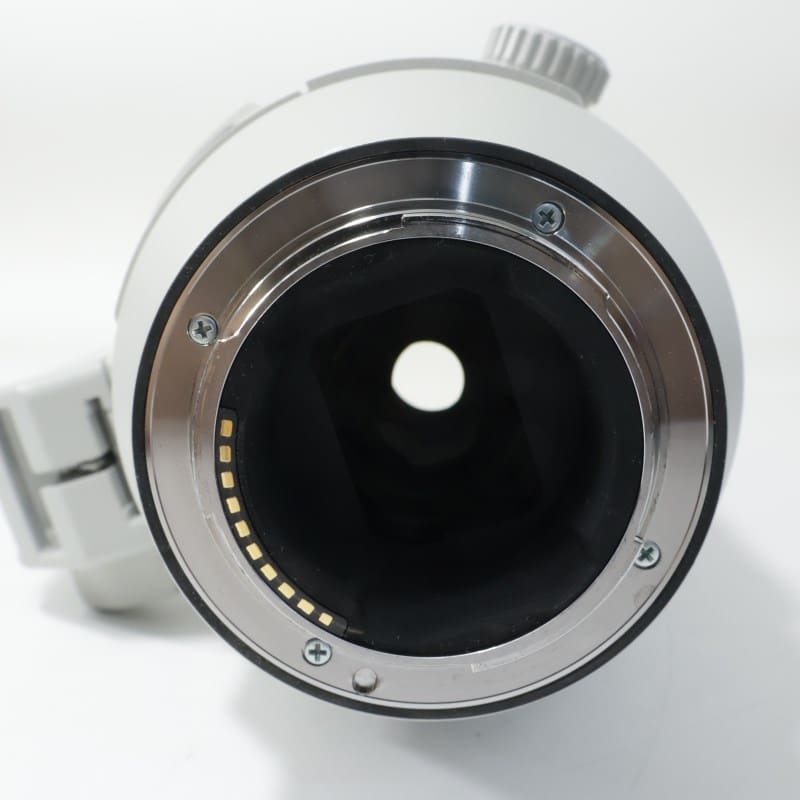 FE 200-600mm F5.6-6.3 G OSS SEL200600G