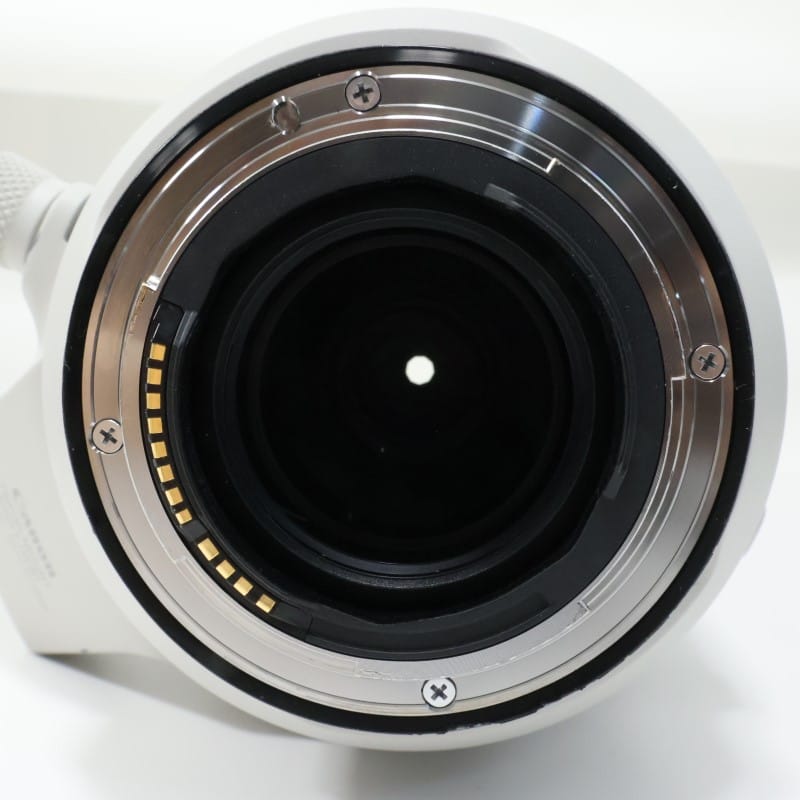 RF100-500mm F4.5-7.1 L IS USM