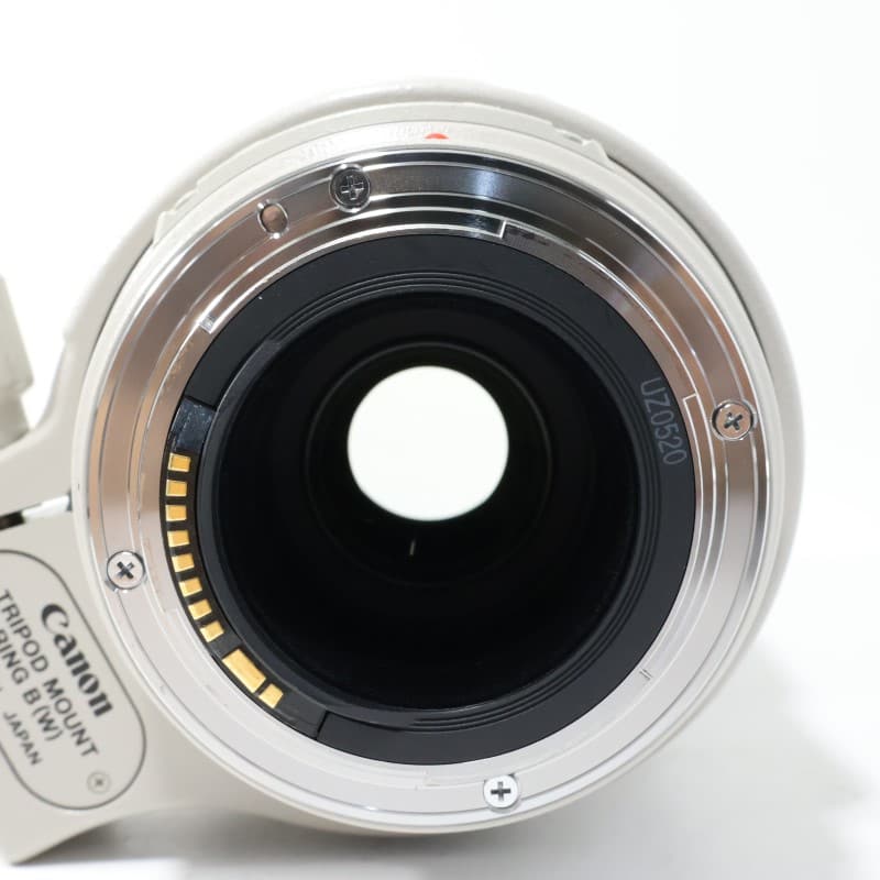 EF 100-400mm F4.5-5.6 L IS USM