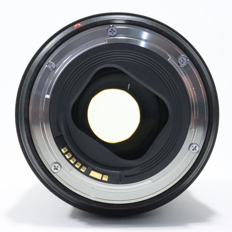 EF 24-105mm F4 L IS II USM