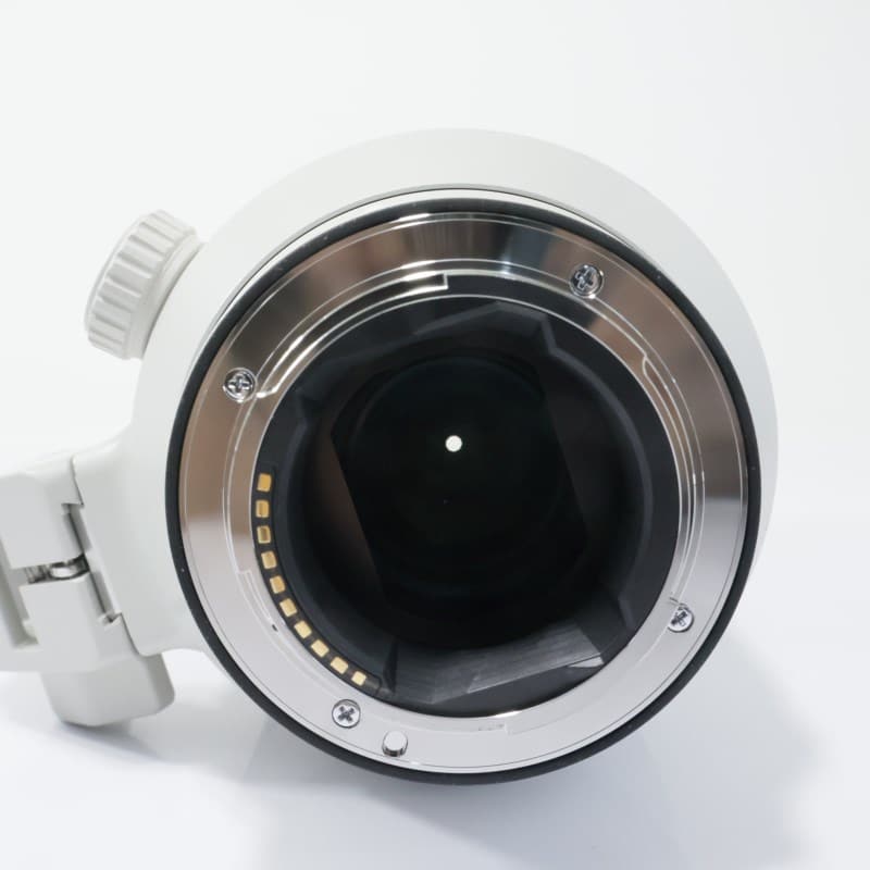 FE 100-400mm F4.5-5.6 GM OSS SEL100400GM
