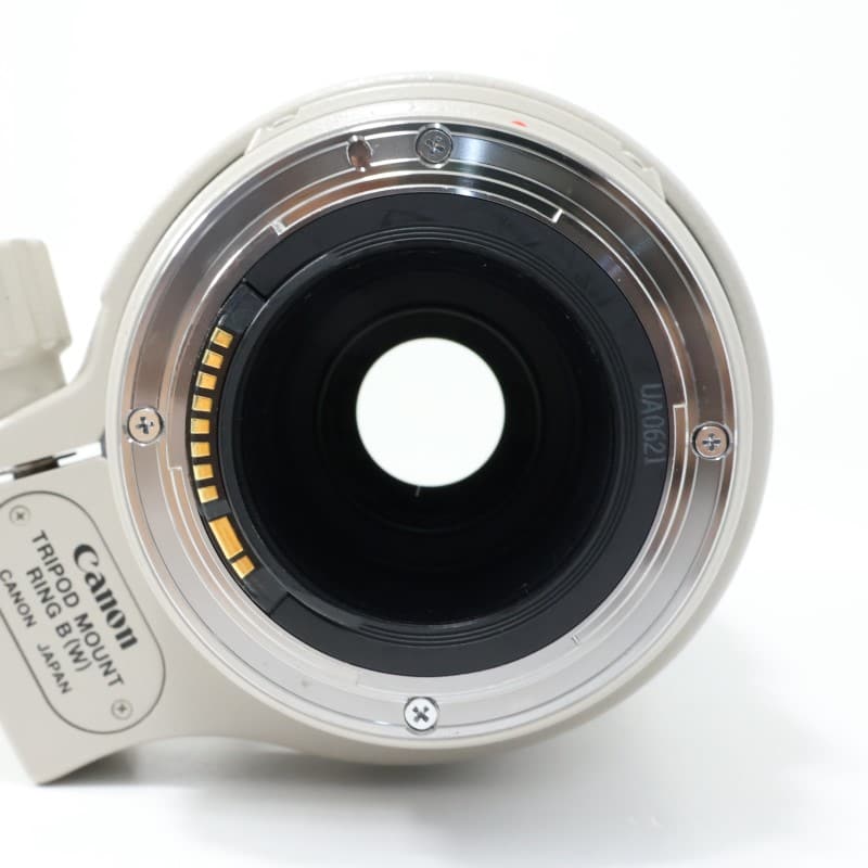 EF 100-400mm F4.5-5.6 L IS USM