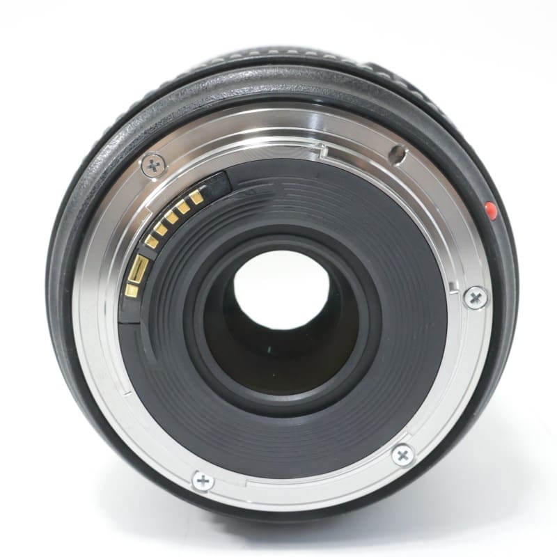 EF24-70mm F4L IS USM
