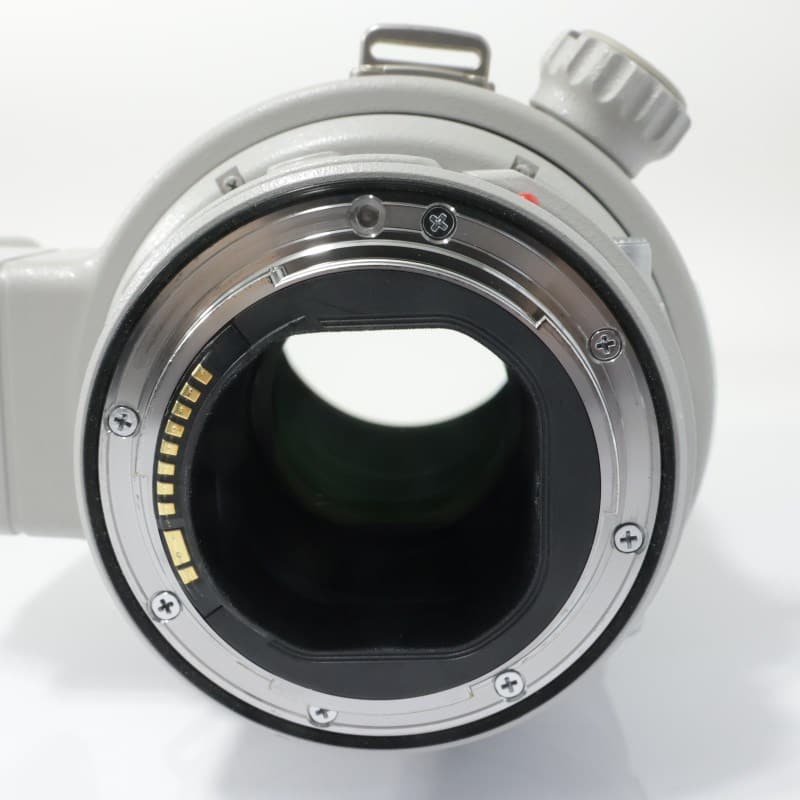 EF300mm F2.8L IS II USM