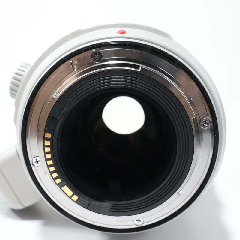 EF100-400mm F4.5-5.6L IS II USM
