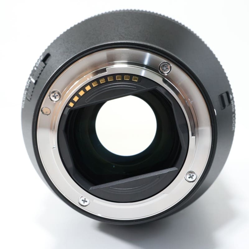 FE 28-70mm F2 GM SEL2870GM
