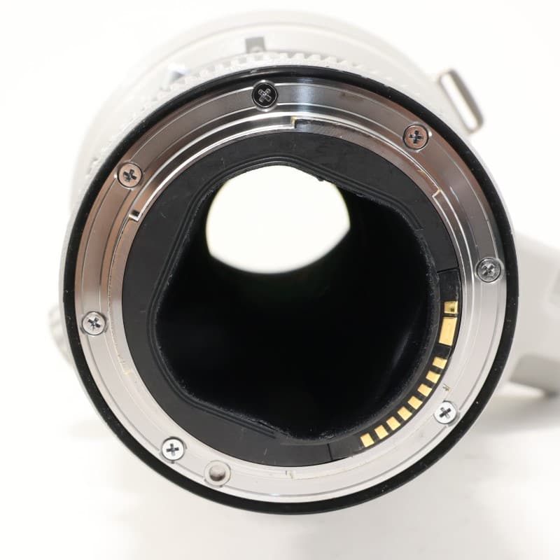 EF 500mm F4 L IS II USM