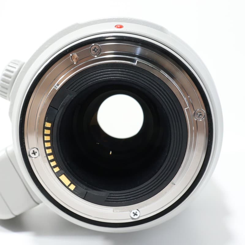 EF100-400mm F4.5-5.6L IS II USM