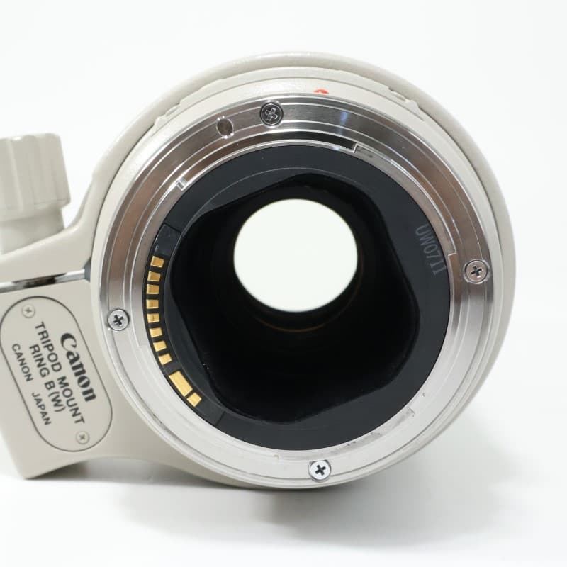 EF 300mm F4 L IS USM