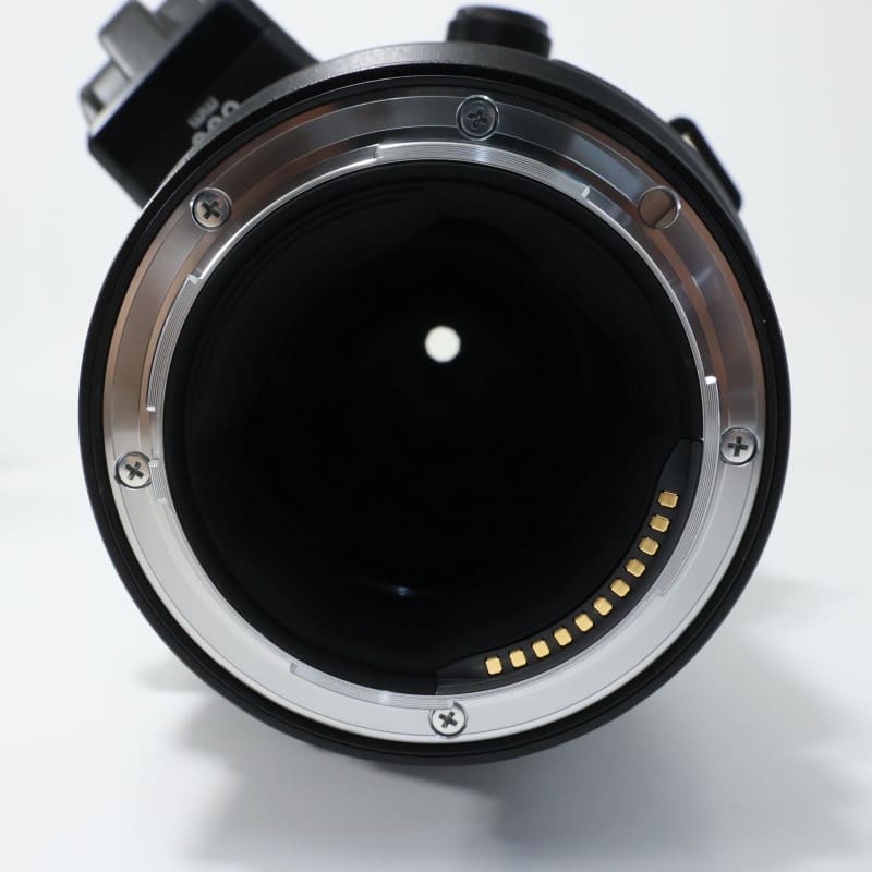 NIKKOR Z 600mm f/4 TC VR S