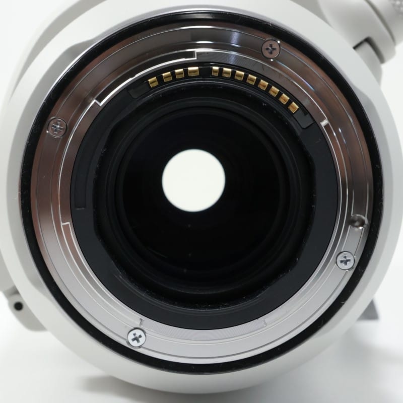 RF100-500mm F4.5-7.1 L IS USM