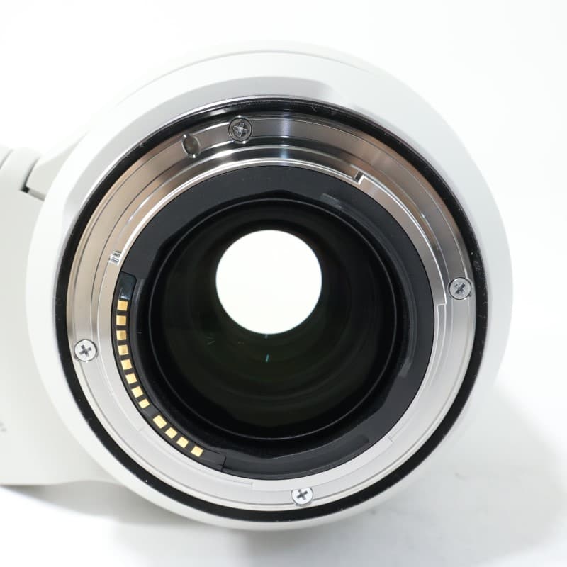 RF70-200mm F2.8 L IS USM