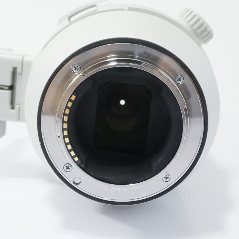 FE 200-600mm F5.6-6.3 G OSS SEL200600G