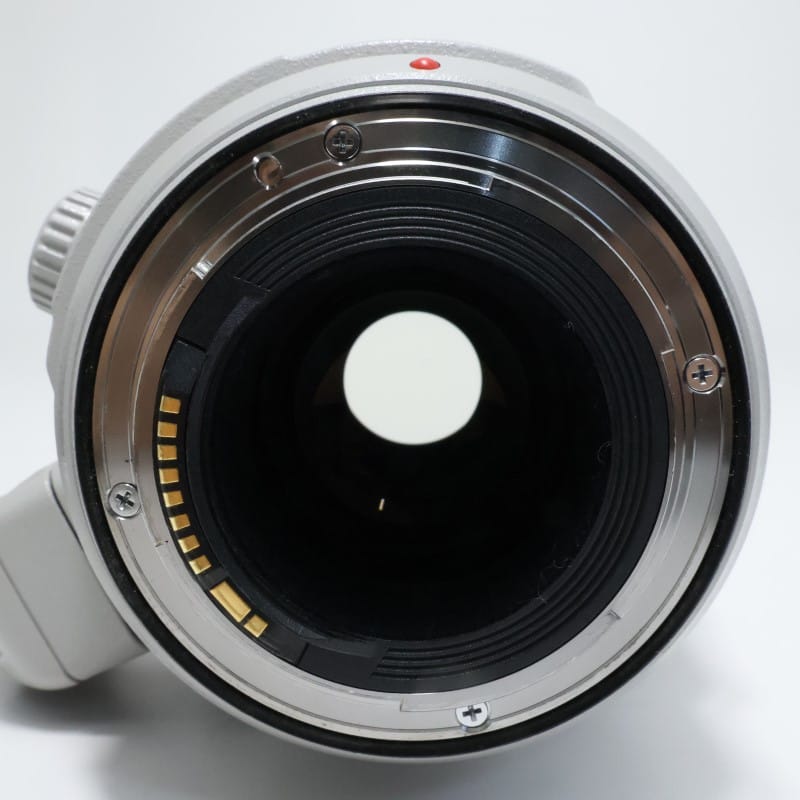 EF100-400mm F4.5-5.6L IS II USM