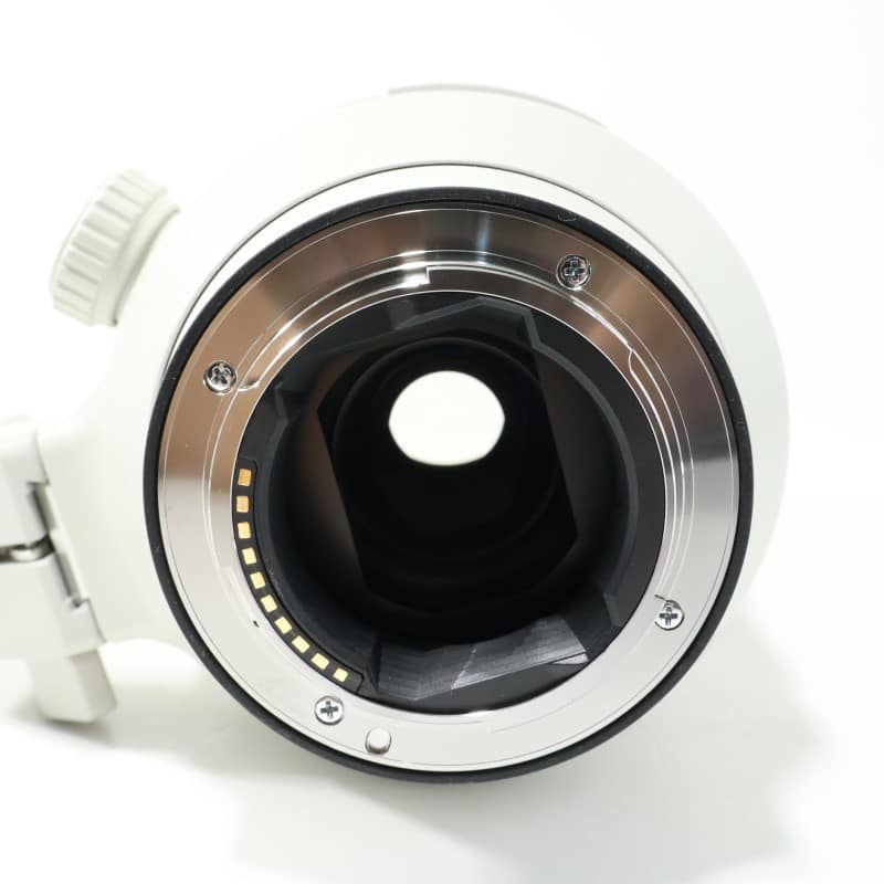 FE 100-400mm F4.5-5.6 GM OSS SEL100400GM