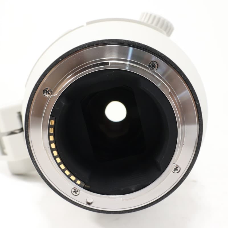 FE 200-600mm F5.6-6.3 G OSS SEL200600G