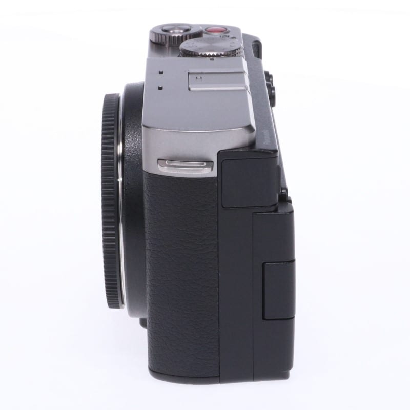 LUMIX S9 ボディ ダークシルバー DC-S9-S