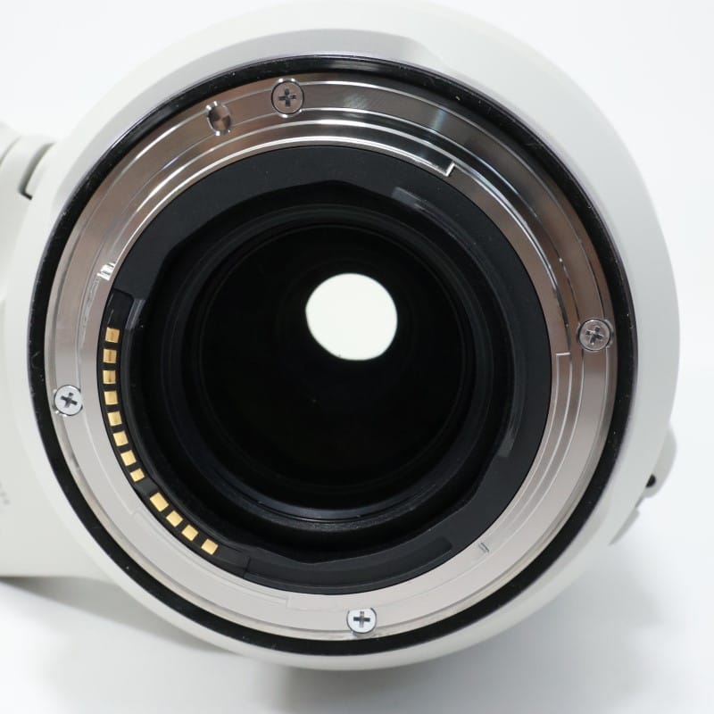 RF100-500mm F4.5-7.1 L IS USM
