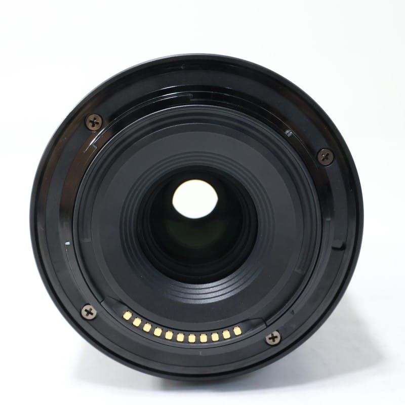 NIKKOR Z DX 50-250mm f/4.5-6.3 VR