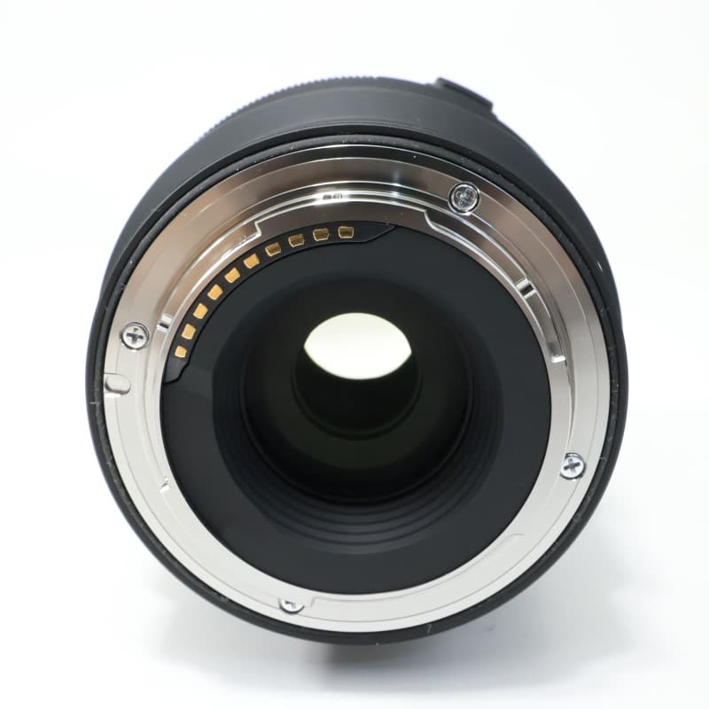 Sigma 16-300mm F3.5-6.7 DC OS | Contemporary ソニーE