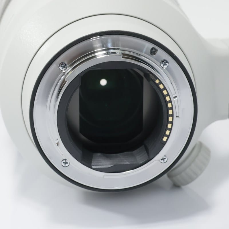FE 100-400mm F4.5-5.6 GM OSS SEL100400GM