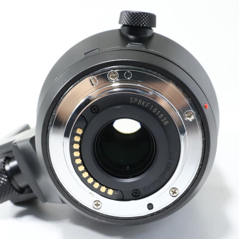 LEICA DG VARIO-ELMAR 100-400mm / F4.0-6.3 ASPH. / POWER O.I.S.