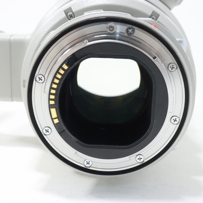 EF 400mm F2.8 L IS II USM