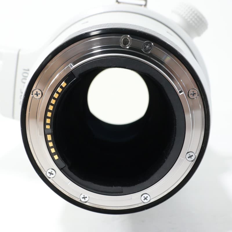 RF100-300mm F2.8 L IS USM