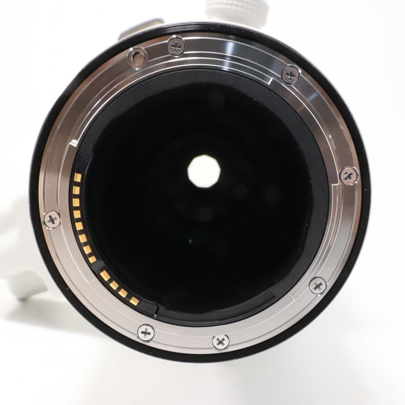 RF100-300mm F2.8 L IS USM