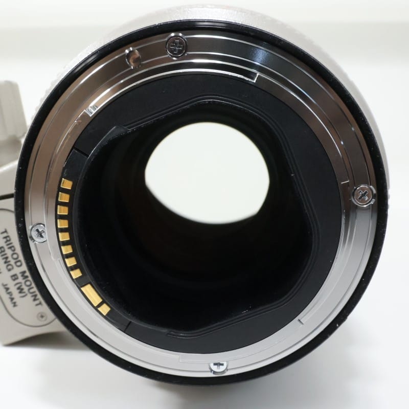 EF 70-200mm F2.8 L IS II USM
