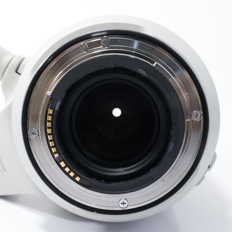 RF100-500mm F4.5-7.1 L IS USM