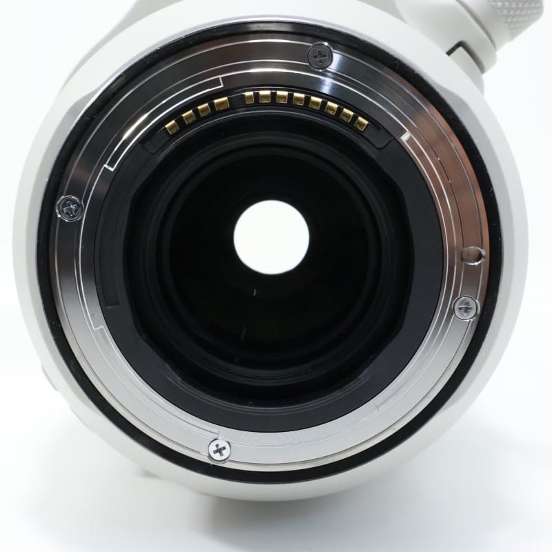 RF100-500mm F4.5-7.1 L IS USM
