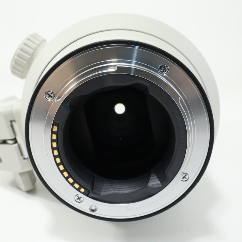 FE 70-200mm F2.8 GM OSS SEL70200GM