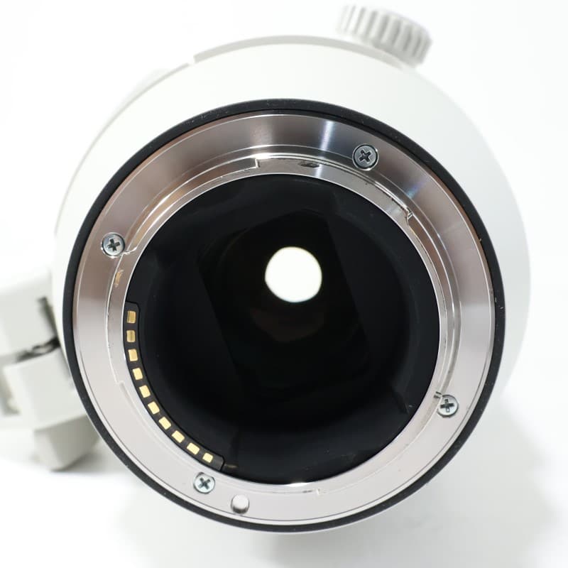 FE 200-600mm F5.6-6.3 G OSS SEL200600G