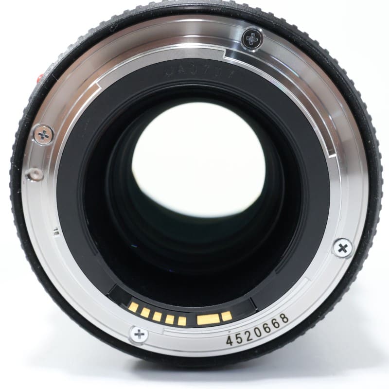 EF100mm F2.8Lマクロ IS USM