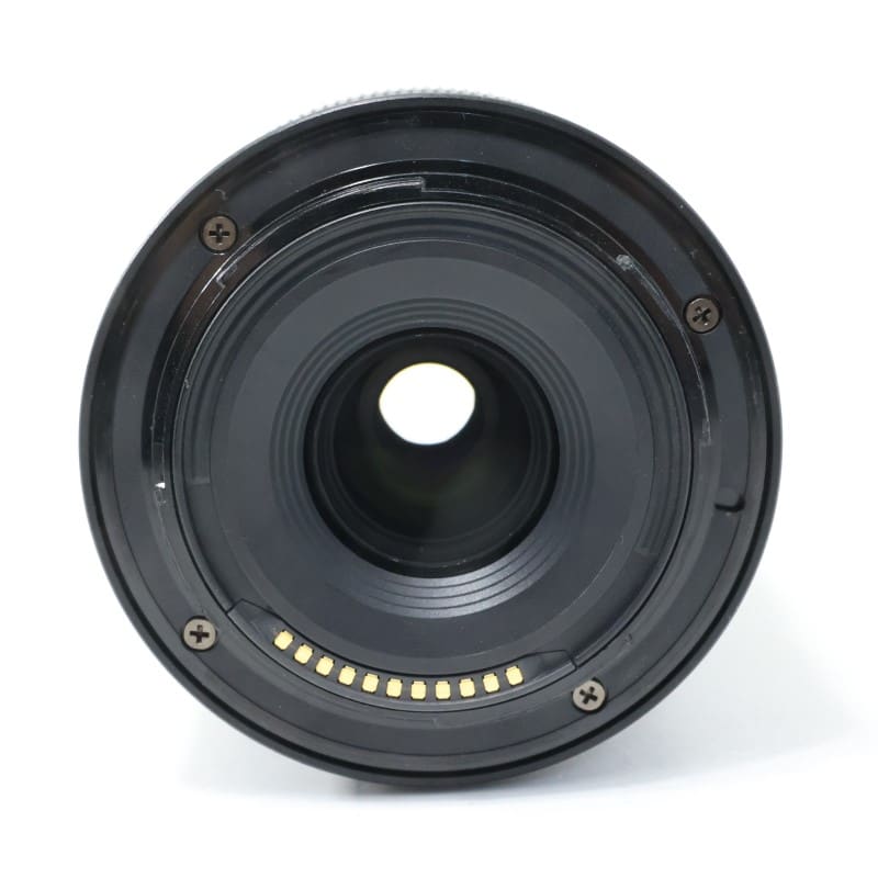 NIKKOR Z DX 50-250mm f/4.5-6.3 VR