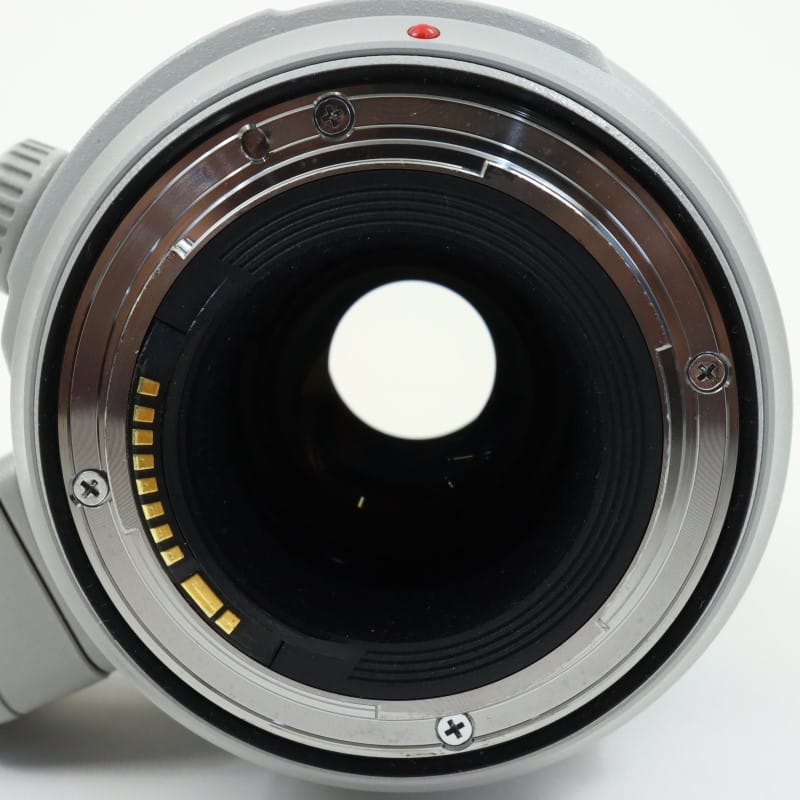 EF100-400mm F4.5-5.6L IS II USM