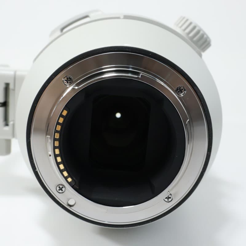 FE 200-600mm F5.6-6.3 G OSS SEL200600G