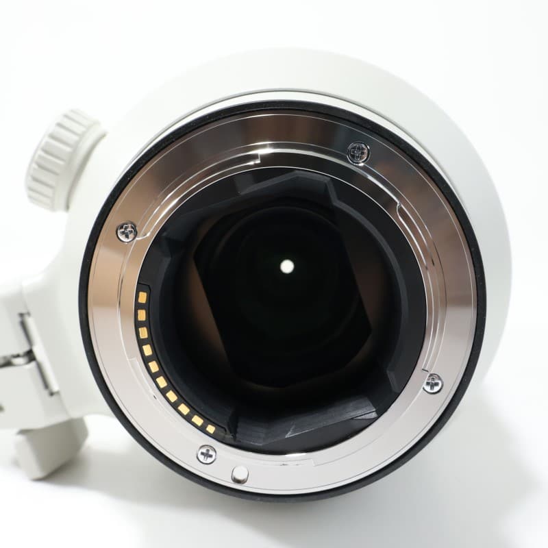 FE 100-400mm F4.5-5.6 GM OSS SEL100400GM
