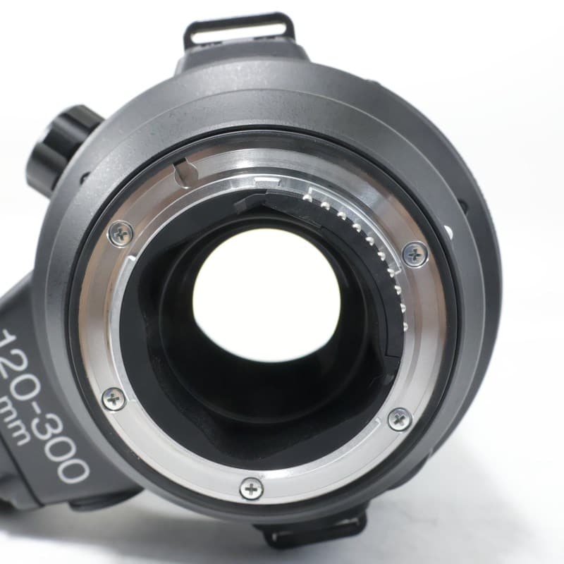 AF-S NIKKOR 120-300mm f/2.8E FL ED SR VR