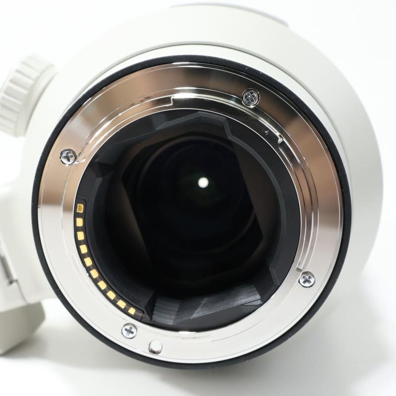 FE 100-400mm F4.5-5.6 GM OSS SEL100400GM