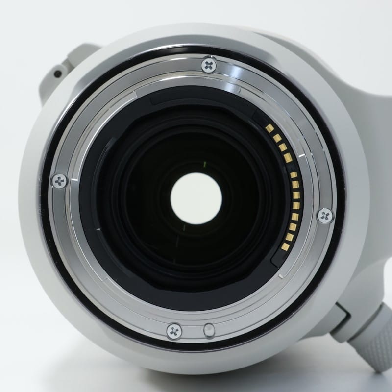 RF100-500mm F4.5-7.1 L IS USM
