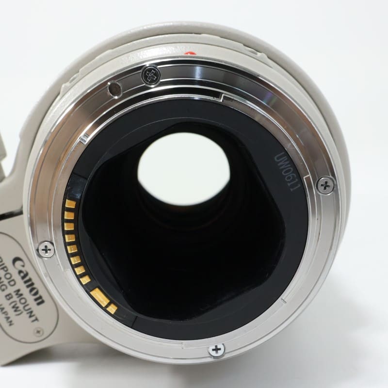 EF 300mm F4 L IS USM