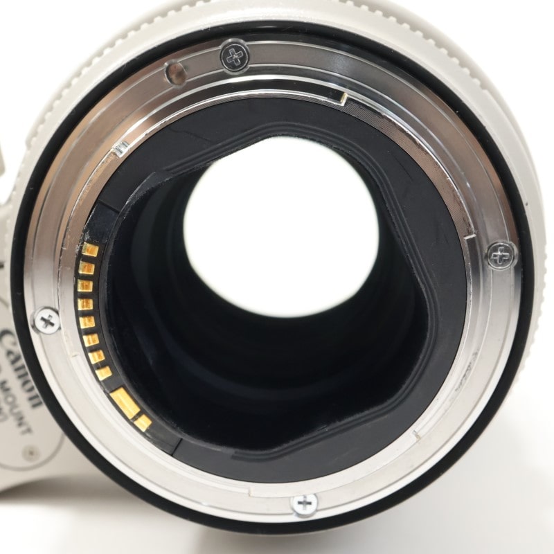 EF 70-200mm F2.8 L IS USM